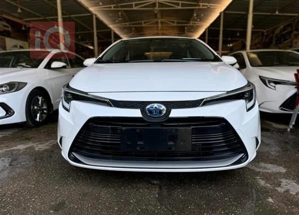 Toyota for sale in Iraq